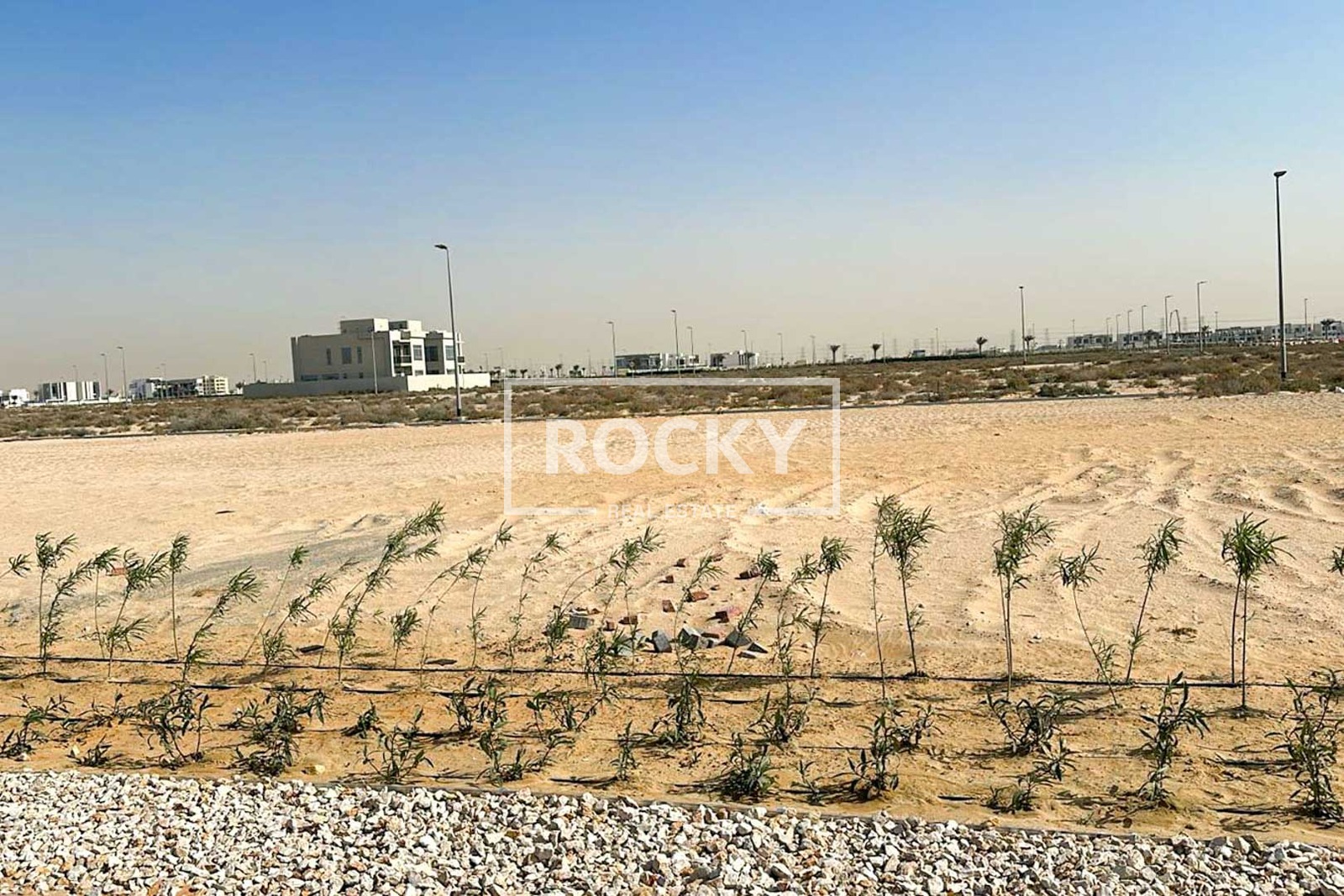 Jebel Ali Hills